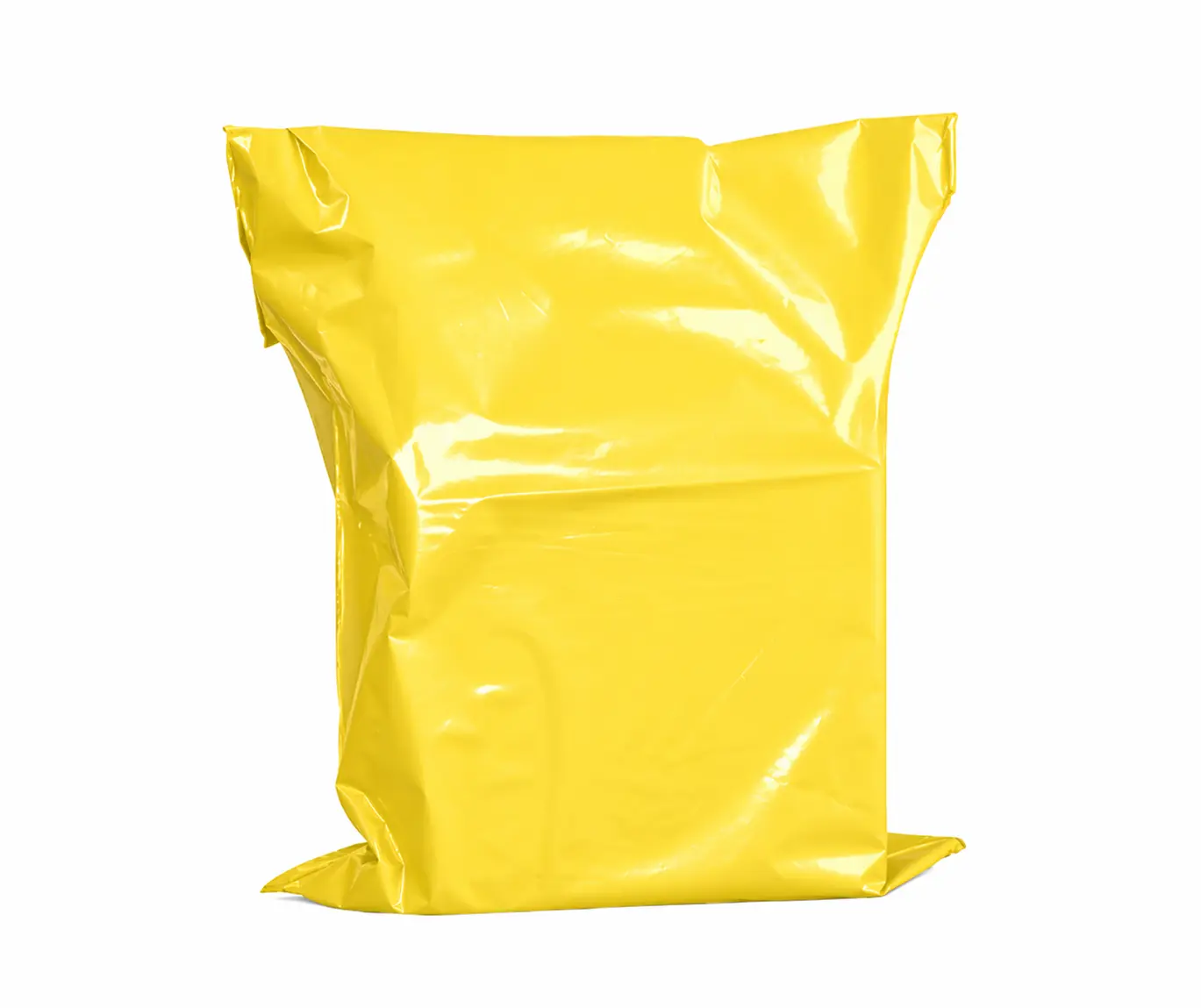 Courier flyer Bags